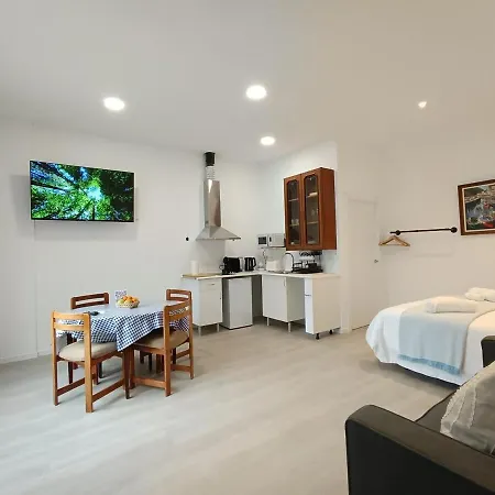 Onak 1 - Parking Gratis - 1cama Y 1sofa Cama * Lasarte Oria