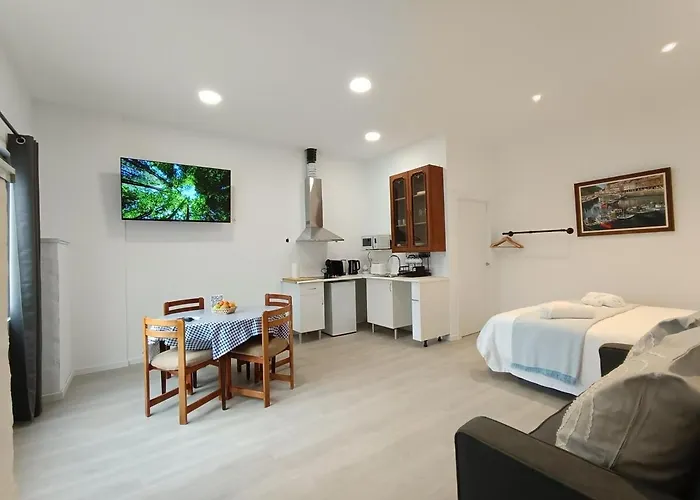 Onak 1 - Parking Gratis - 1cama Y 1sofa Cama * Lasarte Oria